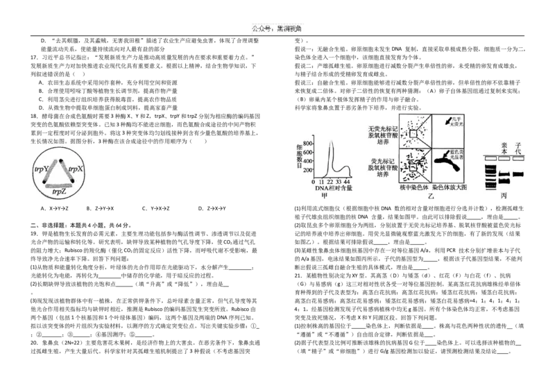 湖北省襄阳市第五中学2024-2025学年高三上学期9月月考生物试题（含答案）_2024-2025高三（6-6月题库）_2024年10月试卷_1003湖北省襄阳市第五中学2024-2025学年高三上学期9月月考