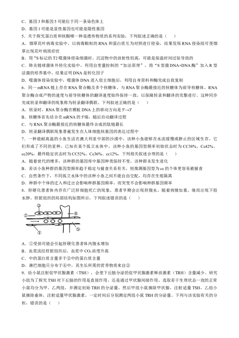 湖南省长沙市第一中学2024-2025学年高三上学期第四次月考生物试卷（含答案）_2024-2025高三（6-6月题库）_2024年12月试卷_1228湖南省长沙市第一中学2024-2025学年高三上学期第四次月考