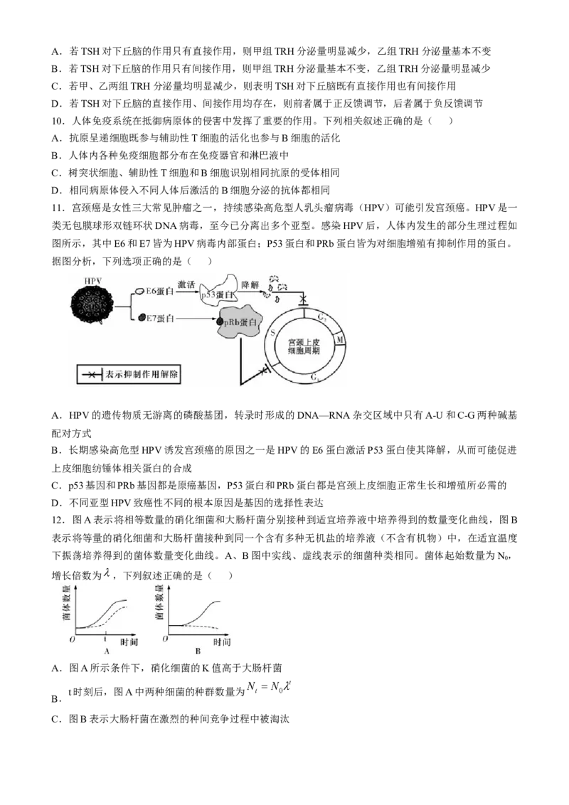 湖南省长沙市第一中学2024-2025学年高三上学期第四次月考生物试卷（含答案）_2024-2025高三（6-6月题库）_2024年12月试卷_1228湖南省长沙市第一中学2024-2025学年高三上学期第四次月考