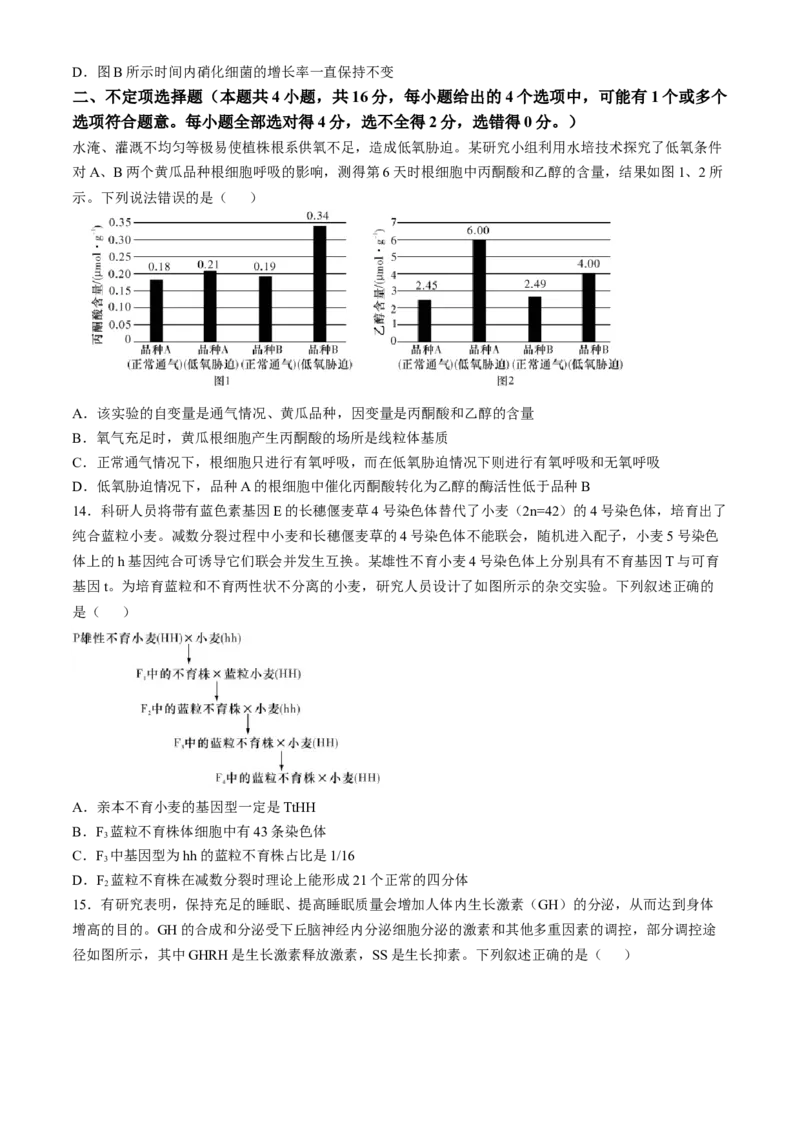 湖南省长沙市第一中学2024-2025学年高三上学期第四次月考生物试卷（含答案）_2024-2025高三（6-6月题库）_2024年12月试卷_1228湖南省长沙市第一中学2024-2025学年高三上学期第四次月考