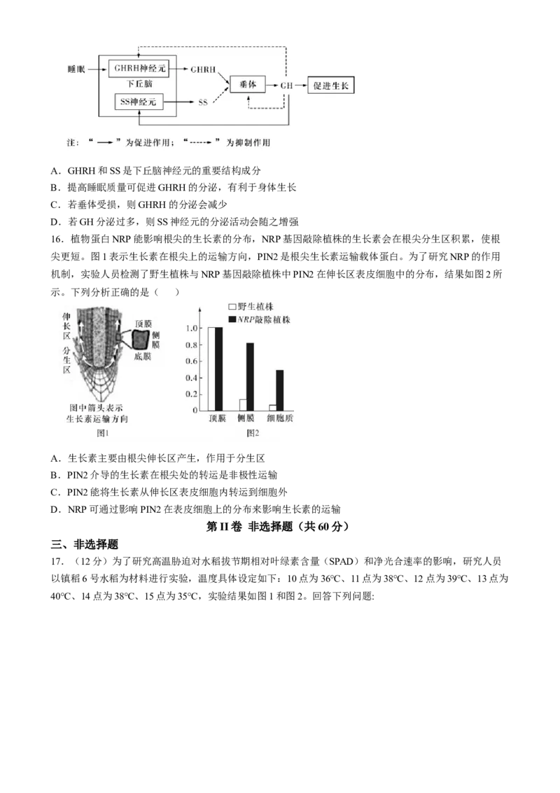 湖南省长沙市第一中学2024-2025学年高三上学期第四次月考生物试卷（含答案）_2024-2025高三（6-6月题库）_2024年12月试卷_1228湖南省长沙市第一中学2024-2025学年高三上学期第四次月考