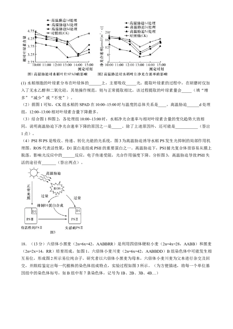 湖南省长沙市第一中学2024-2025学年高三上学期第四次月考生物试卷（含答案）_2024-2025高三（6-6月题库）_2024年12月试卷_1228湖南省长沙市第一中学2024-2025学年高三上学期第四次月考