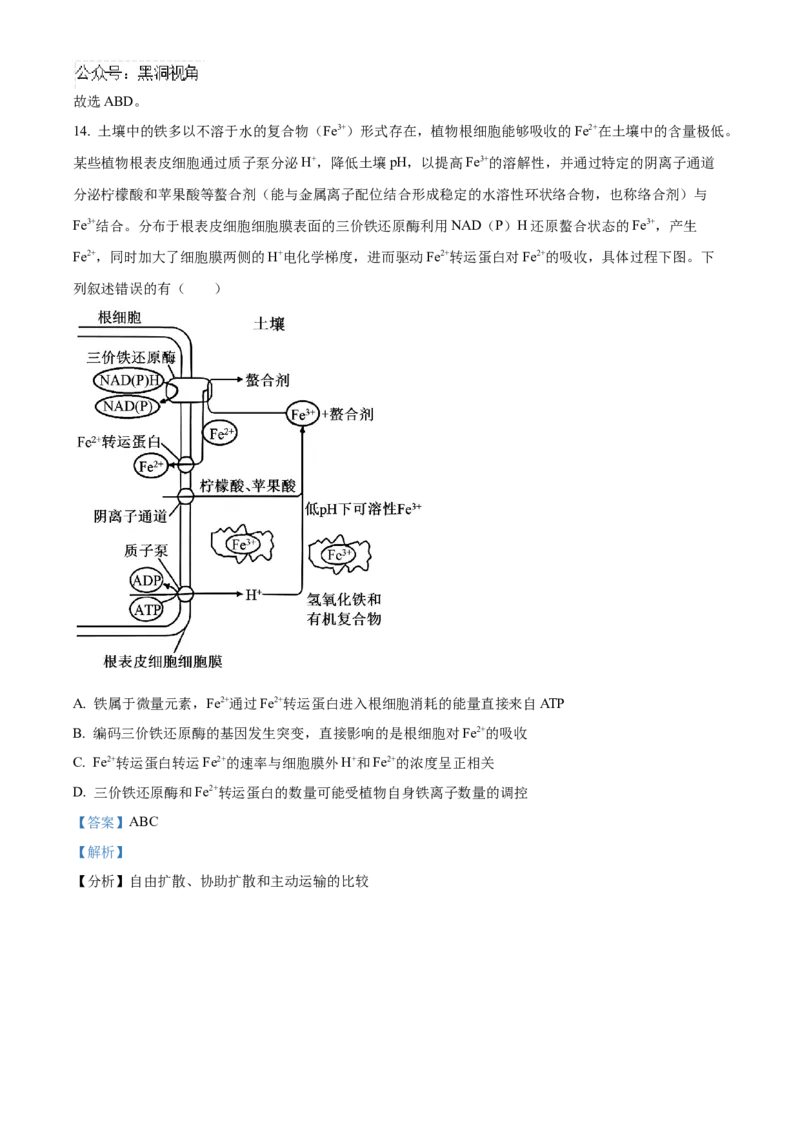 湖南省长沙市雅礼中学2025届高三上学期月考（二）生物试题答案_2024-2025高三（6-6月题库）_2024年10月试卷_1015湖南省长沙市雅礼中学2025届高三上学期月考（二）