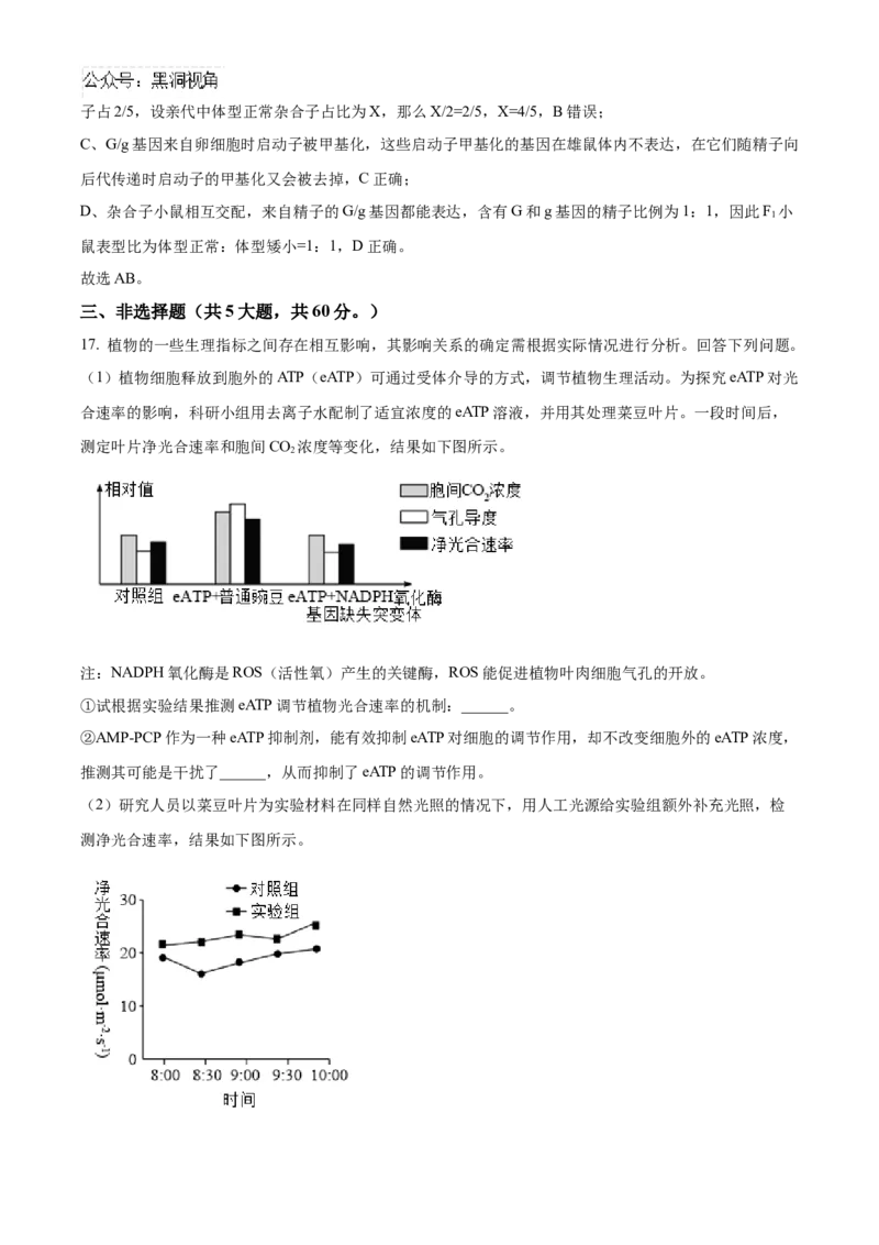 湖南省长沙市雅礼中学2025届高三上学期月考（二）生物试题答案_2024-2025高三（6-6月题库）_2024年10月试卷_1015湖南省长沙市雅礼中学2025届高三上学期月考（二）