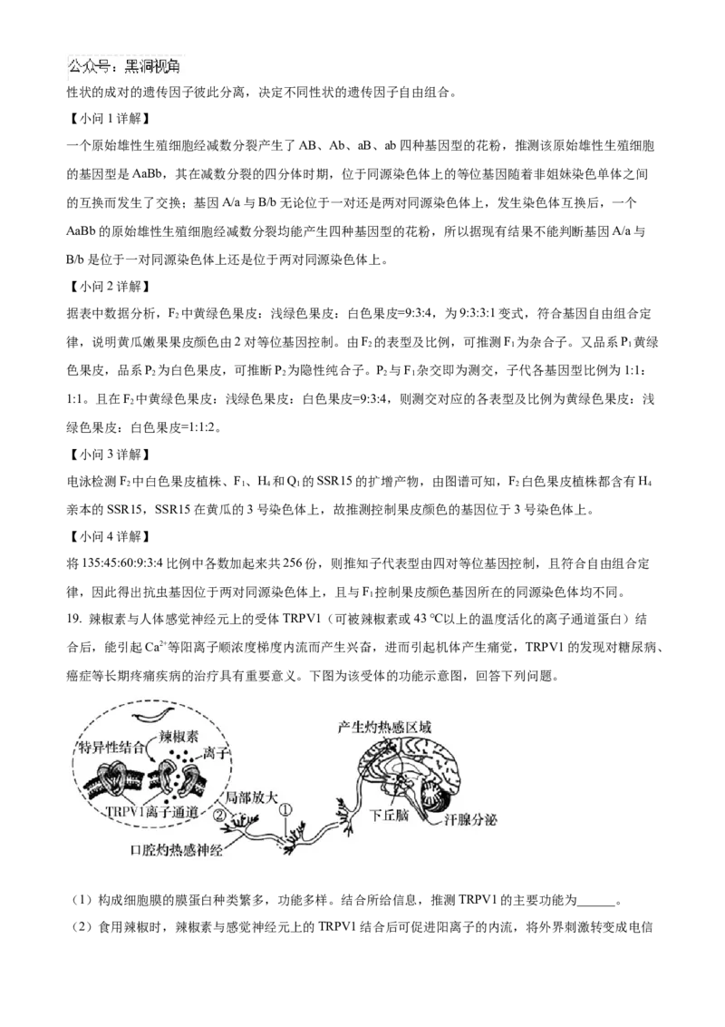 湖南省长沙市雅礼中学2025届高三上学期月考（二）生物试题答案_2024-2025高三（6-6月题库）_2024年10月试卷_1015湖南省长沙市雅礼中学2025届高三上学期月考（二）