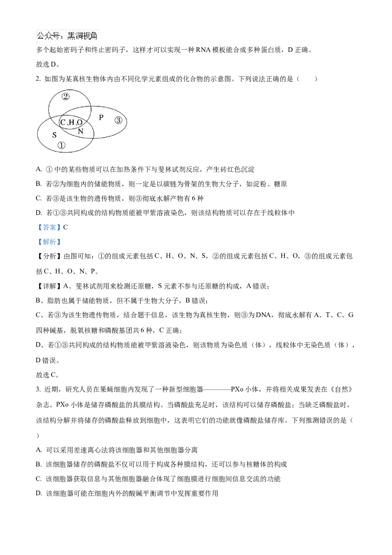 湖南省长沙市雅礼中学2025届高三上学期月考（二）生物试题答案_2024-2025高三（6-6月题库）_2024年10月试卷_1015湖南省长沙市雅礼中学2025届高三上学期月考（二）