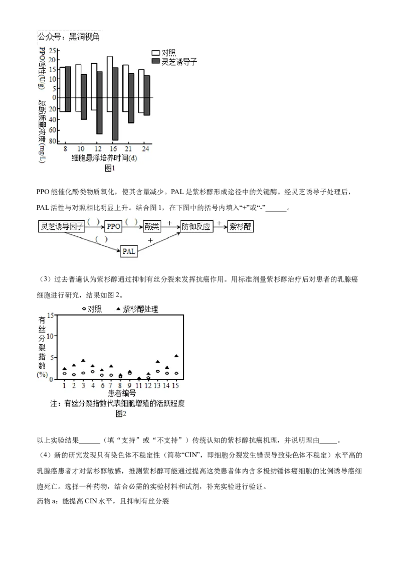 湖南省长沙市雅礼中学2025届高三上学期月考（二）生物试题答案_2024-2025高三（6-6月题库）_2024年10月试卷_1015湖南省长沙市雅礼中学2025届高三上学期月考（二）