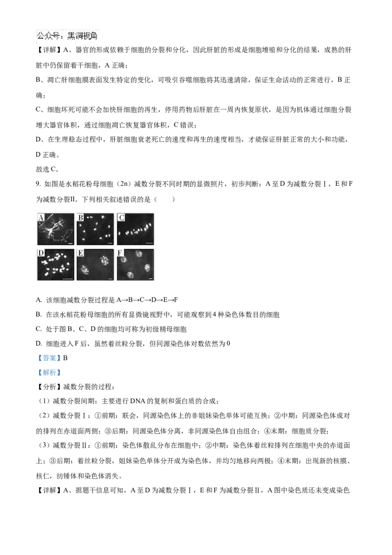 湖南省长沙市雅礼中学2025届高三上学期月考（二）生物试题答案_2024-2025高三（6-6月题库）_2024年10月试卷_1015湖南省长沙市雅礼中学2025届高三上学期月考（二）