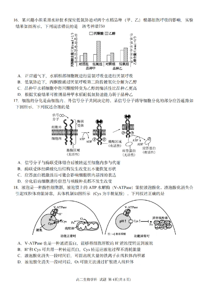 生物卷-2511高二G5联盟_251210浙江省G5联盟2025-2026学年高二上学期11月期中考试（全）_浙江省G5联盟2025-2026学年高二上学期11月期中考试生物试题含答案