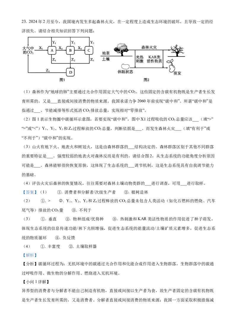辽宁省教研教改联合体2025届高三上学期一模试题生物Word版含解析_2024-2025高三（6-6月题库）_2024年07月试卷_240714辽宁省教研教改联合体2025届高三上学期一模