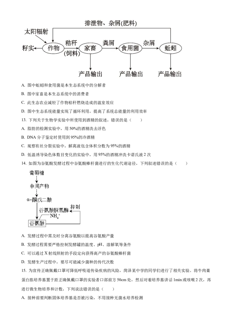 辽宁省教研教改联合体2025届高三上学期一模试题生物Word版含解析_2024-2025高三（6-6月题库）_2024年07月试卷_240714辽宁省教研教改联合体2025届高三上学期一模