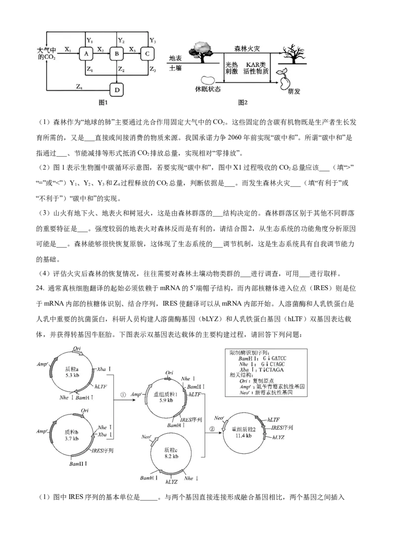 辽宁省教研教改联合体2025届高三上学期一模试题生物Word版含解析_2024-2025高三（6-6月题库）_2024年07月试卷_240714辽宁省教研教改联合体2025届高三上学期一模