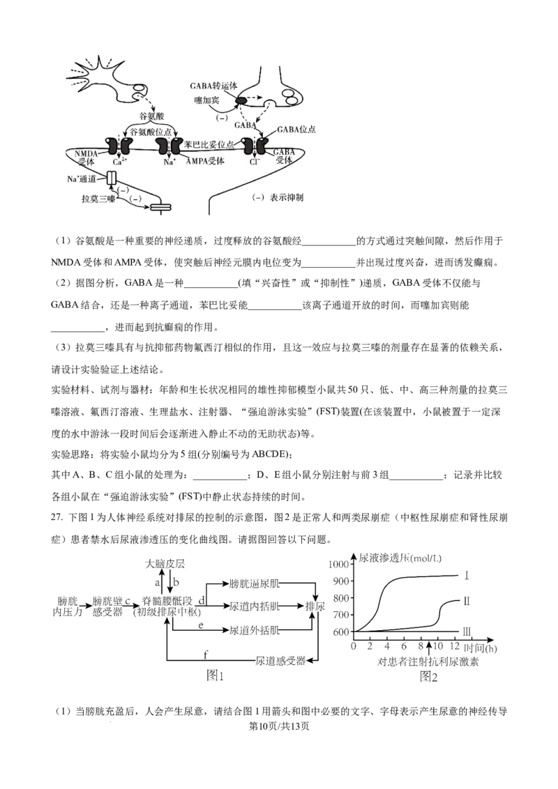 精品解析：黑龙江省牡丹江市第一高级中学2025-2026学年高二上学期9月月考生物试题（原卷版）_2025年10月高二试卷_251003黑龙江省牡丹江市第一高级中学2025-2026学年高二上学期9月月考
