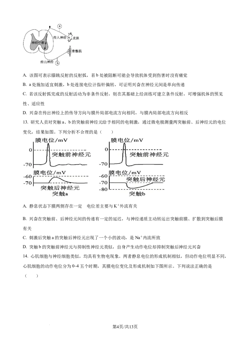 精品解析：黑龙江省牡丹江市第一高级中学2025-2026学年高二上学期9月月考生物试题（原卷版）_2025年10月高二试卷_251003黑龙江省牡丹江市第一高级中学2025-2026学年高二上学期9月月考