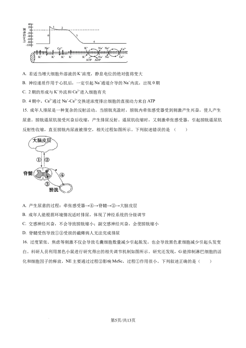 精品解析：黑龙江省牡丹江市第一高级中学2025-2026学年高二上学期9月月考生物试题（原卷版）_2025年10月高二试卷_251003黑龙江省牡丹江市第一高级中学2025-2026学年高二上学期9月月考