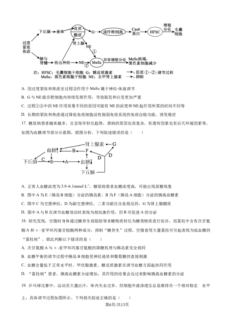 精品解析：黑龙江省牡丹江市第一高级中学2025-2026学年高二上学期9月月考生物试题（原卷版）_2025年10月高二试卷_251003黑龙江省牡丹江市第一高级中学2025-2026学年高二上学期9月月考