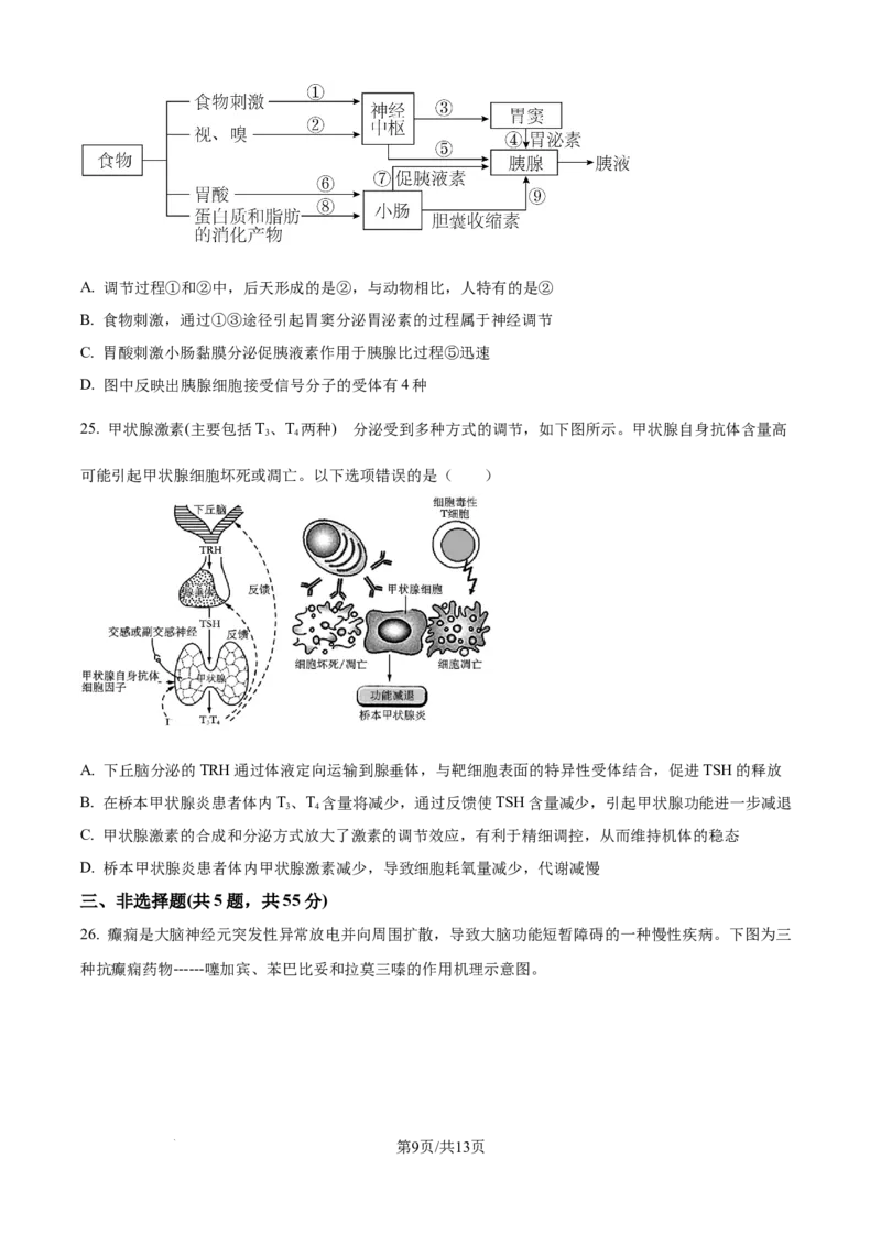 精品解析：黑龙江省牡丹江市第一高级中学2025-2026学年高二上学期9月月考生物试题（原卷版）_2025年10月高二试卷_251003黑龙江省牡丹江市第一高级中学2025-2026学年高二上学期9月月考