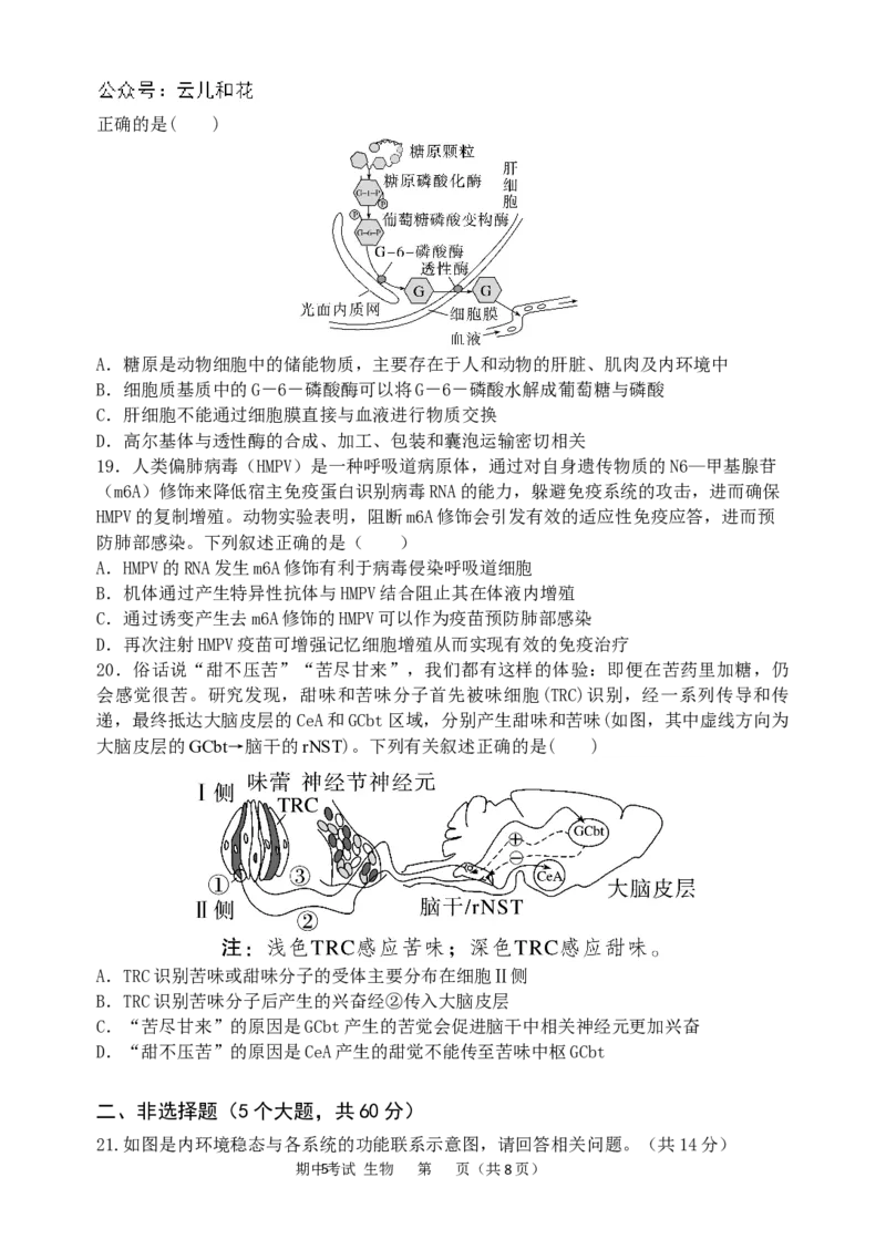 生物试卷_2024-2025高二（7-7月题库）_2024年11月试卷_1127重庆市万州二中2024-2025学年高二上学期期中考试_重庆市万州二中2024-2025学年高二上学期期中考试生物试题（含答案）