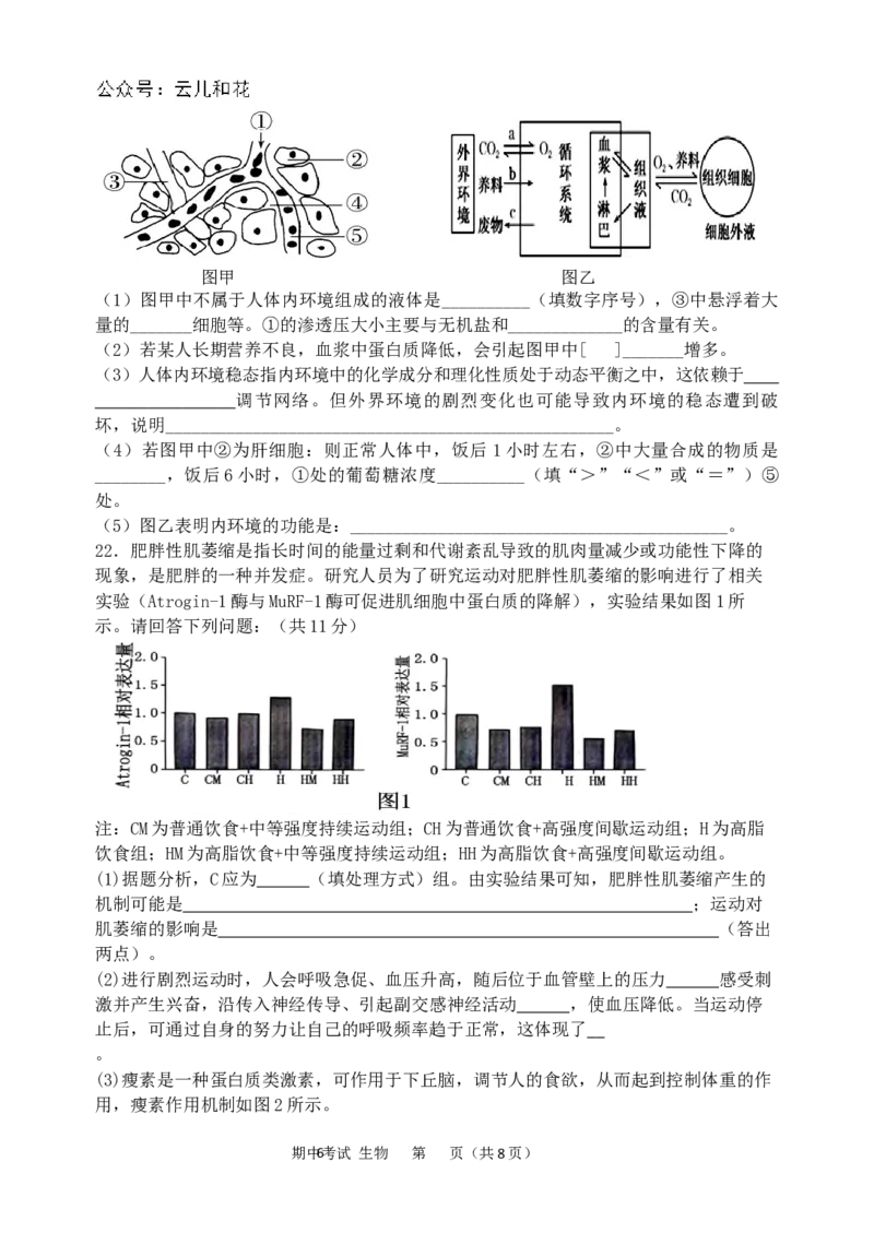 生物试卷_2024-2025高二（7-7月题库）_2024年11月试卷_1127重庆市万州二中2024-2025学年高二上学期期中考试_重庆市万州二中2024-2025学年高二上学期期中考试生物试题（含答案）