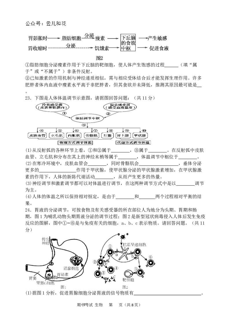 生物试卷_2024-2025高二（7-7月题库）_2024年11月试卷_1127重庆市万州二中2024-2025学年高二上学期期中考试_重庆市万州二中2024-2025学年高二上学期期中考试生物试题（含答案）