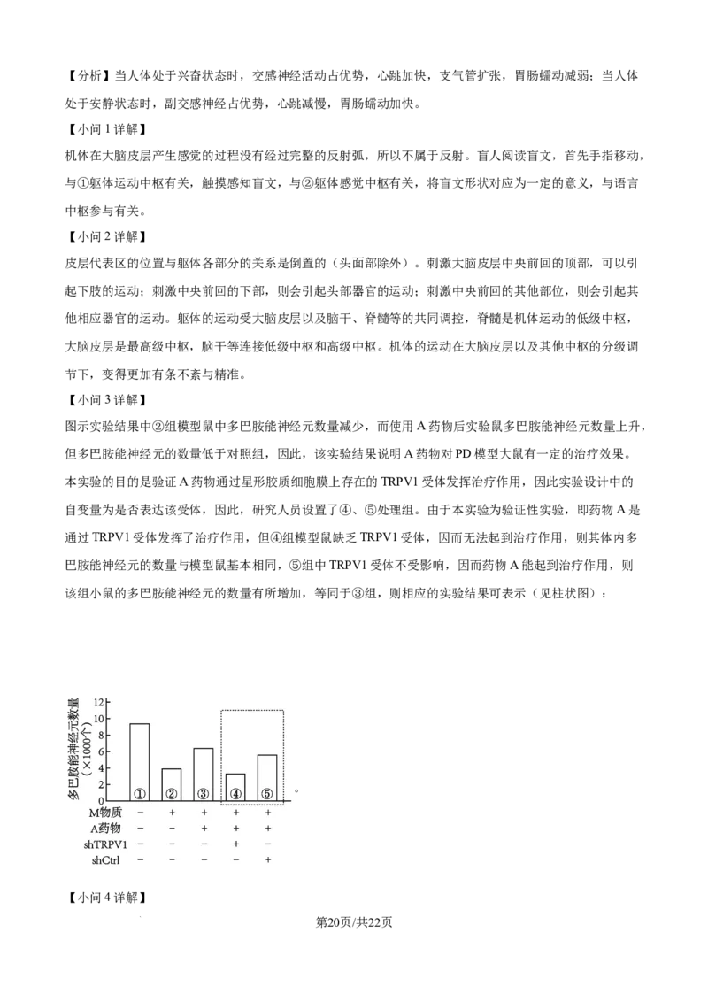 精品解析：黑龙江省龙东联盟2025-2026学年高二上学期10月月考生物试题（解析版）_2025年10月高二试卷_251014黑龙江省龙东十校联盟2025-2026学年高二上学期10月月考（全）