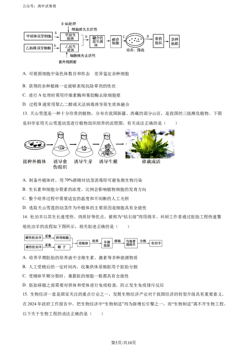 精品解析：湖北省2023-2024学年高二下学期7月期末考试生物试题（原卷版）_2024-2025高三（6-6月题库）_2024年07月试卷_湖北省2023-2024学年高二下学期7月期末考试生物试题