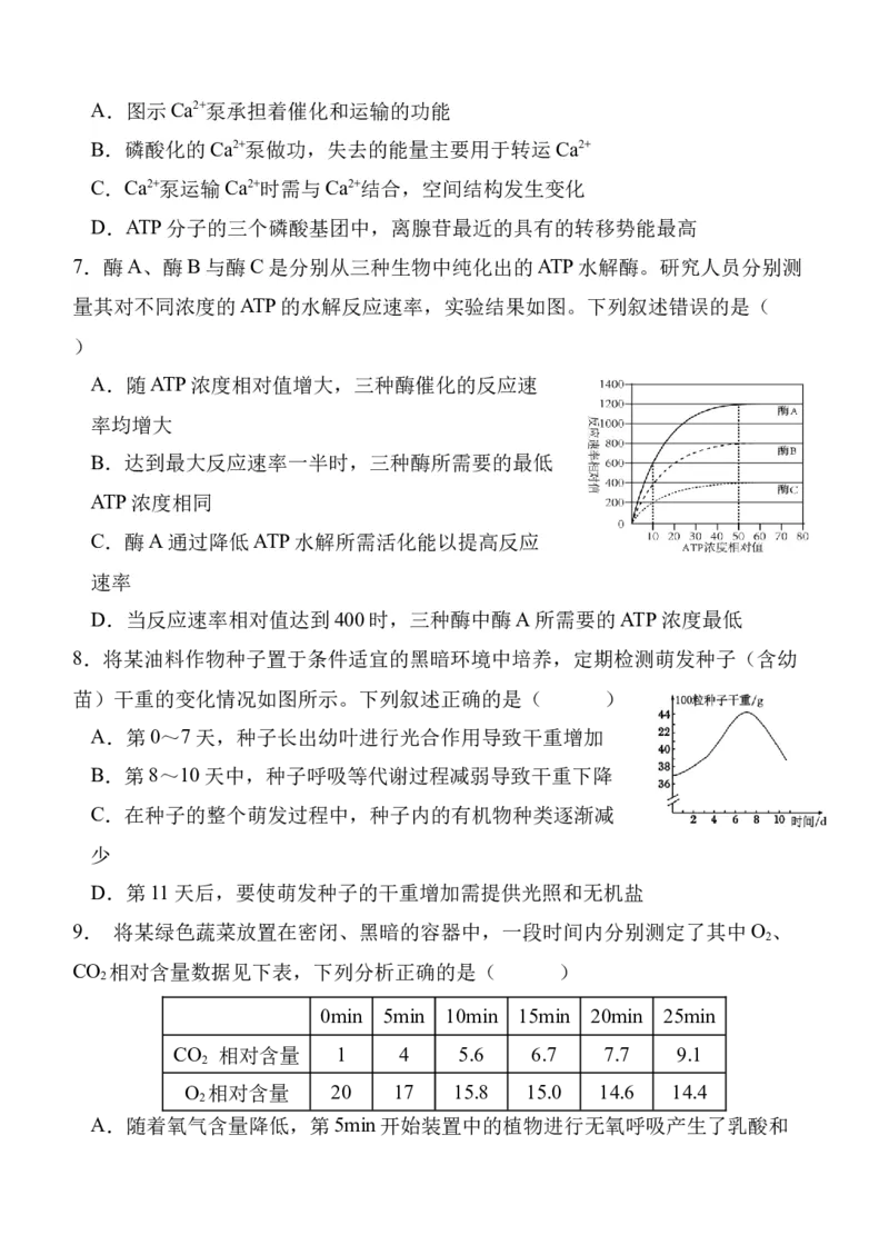 陕西省西安中学2024-2025学年高三上学期第二次质量检测生物试题_2024-2025高三（6-6月题库）_2024年11月试卷_1109陕西省西安中学2024-2025学年高三上学期第二次调研考试