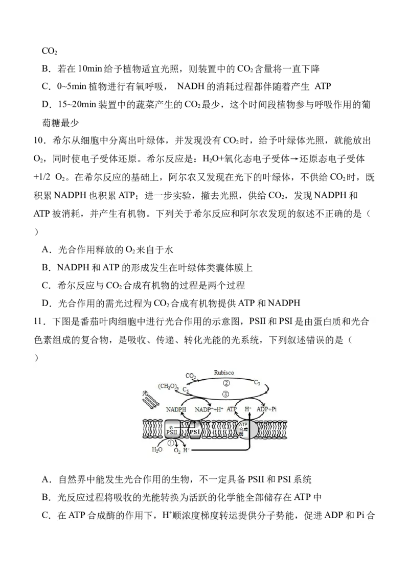 陕西省西安中学2024-2025学年高三上学期第二次质量检测生物试题_2024-2025高三（6-6月题库）_2024年11月试卷_1109陕西省西安中学2024-2025学年高三上学期第二次调研考试