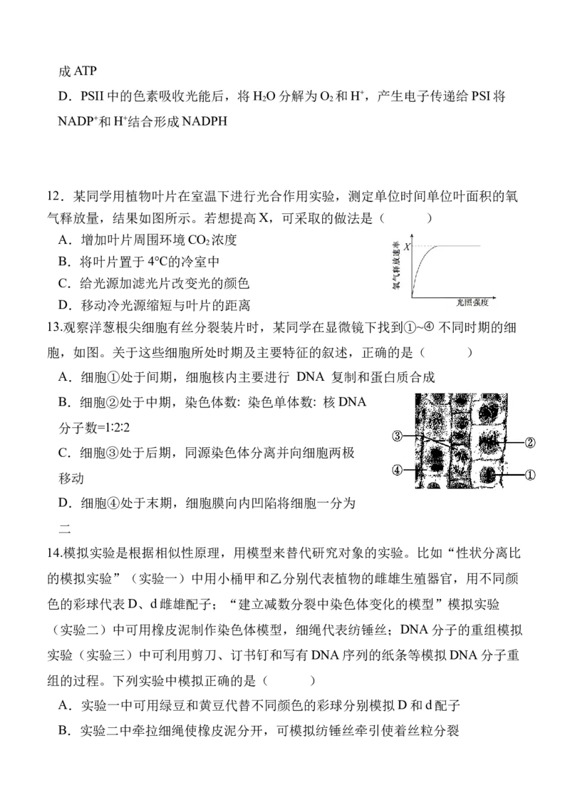 陕西省西安中学2024-2025学年高三上学期第二次质量检测生物试题_2024-2025高三（6-6月题库）_2024年11月试卷_1109陕西省西安中学2024-2025学年高三上学期第二次调研考试