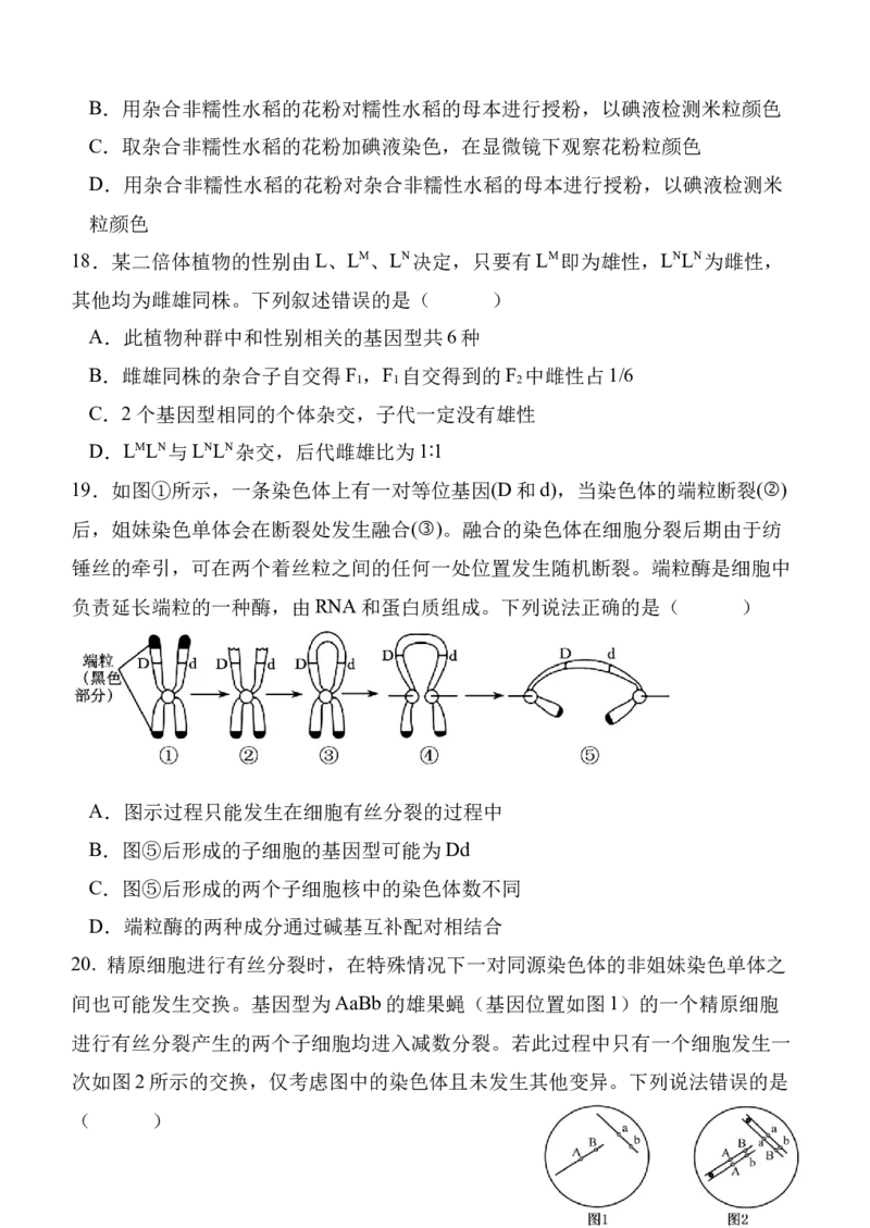陕西省西安中学2024-2025学年高三上学期第二次质量检测生物试题_2024-2025高三（6-6月题库）_2024年11月试卷_1109陕西省西安中学2024-2025学年高三上学期第二次调研考试