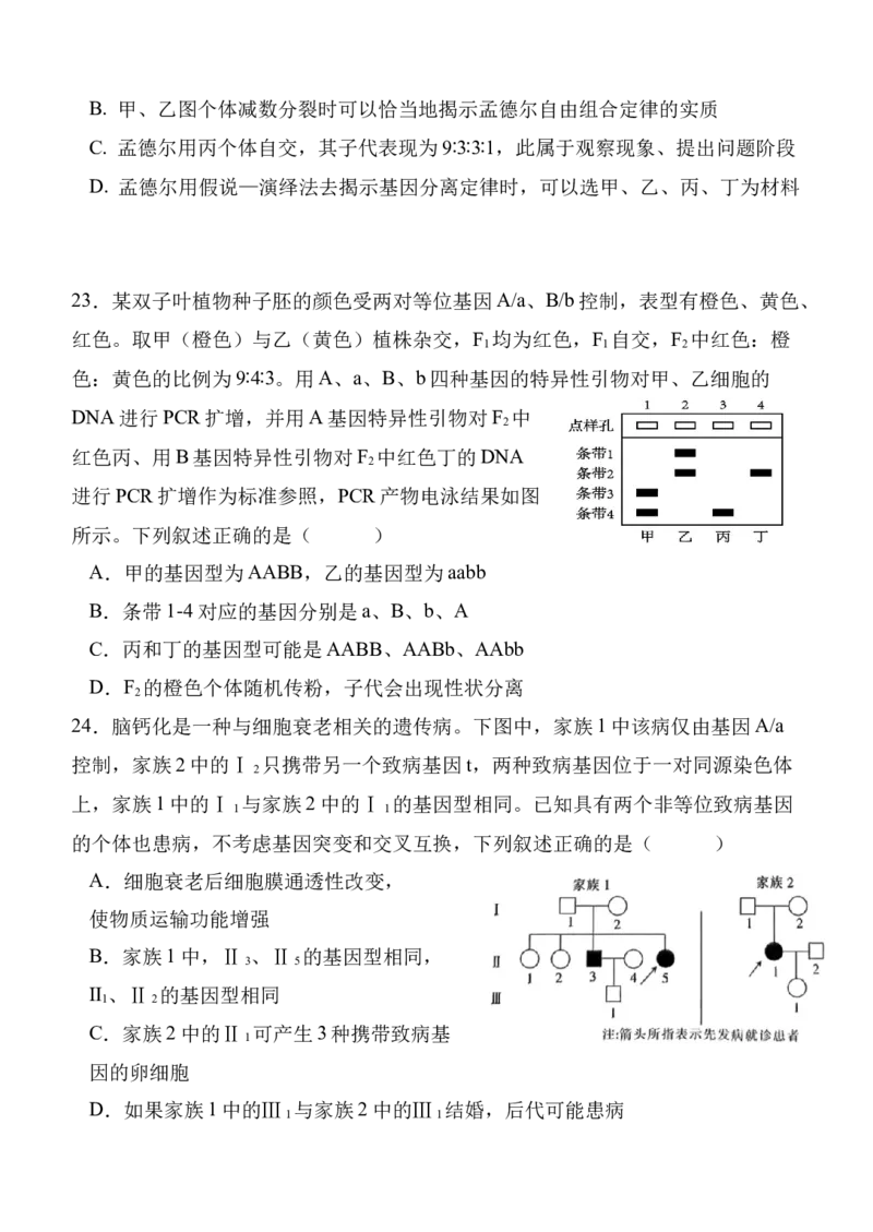 陕西省西安中学2024-2025学年高三上学期第二次质量检测生物试题_2024-2025高三（6-6月题库）_2024年11月试卷_1109陕西省西安中学2024-2025学年高三上学期第二次调研考试