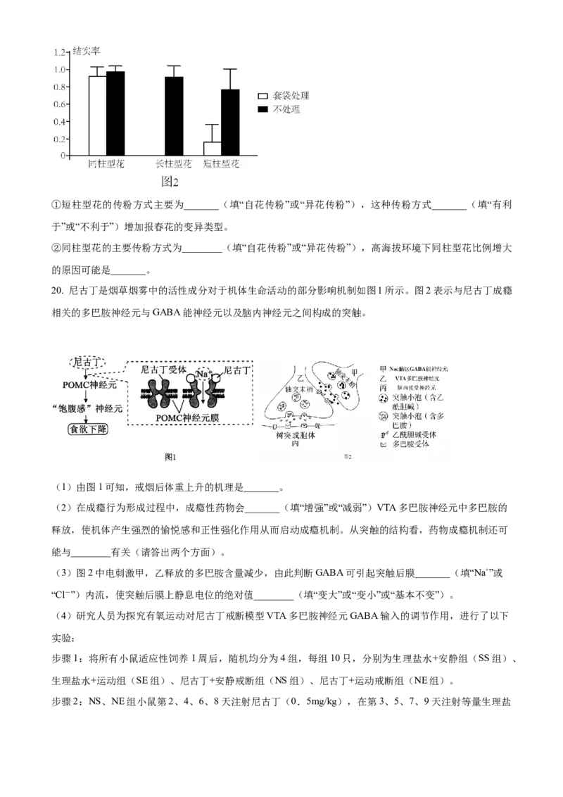 湖北省襄阳市第四中学2025-2026学年高二上学期10月月考生物试题（原卷版）_2025年11月高二试卷_251101湖北省襄阳市第四中学2025-2026学年高二上学期10月月考（全）