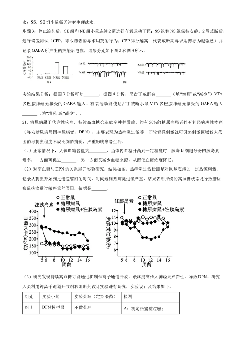 湖北省襄阳市第四中学2025-2026学年高二上学期10月月考生物试题（原卷版）_2025年11月高二试卷_251101湖北省襄阳市第四中学2025-2026学年高二上学期10月月考（全）