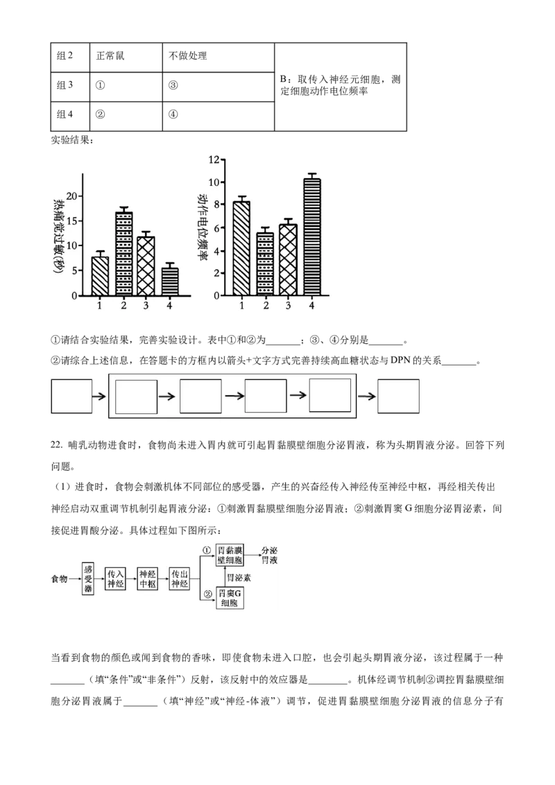 湖北省襄阳市第四中学2025-2026学年高二上学期10月月考生物试题（原卷版）_2025年11月高二试卷_251101湖北省襄阳市第四中学2025-2026学年高二上学期10月月考（全）
