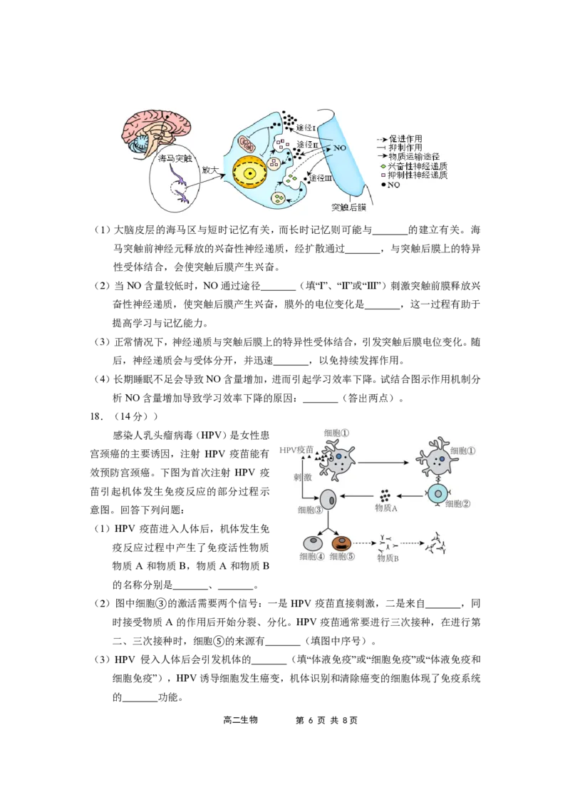 福建省宁德市福宁古五校教学联合体2025-2026学年高二上学期期中质量监测试题生物PDF版含答案_251214福建省宁德市福宁古五校教学联合体2025-2026学年高二上学期期中质量监测试题（全）