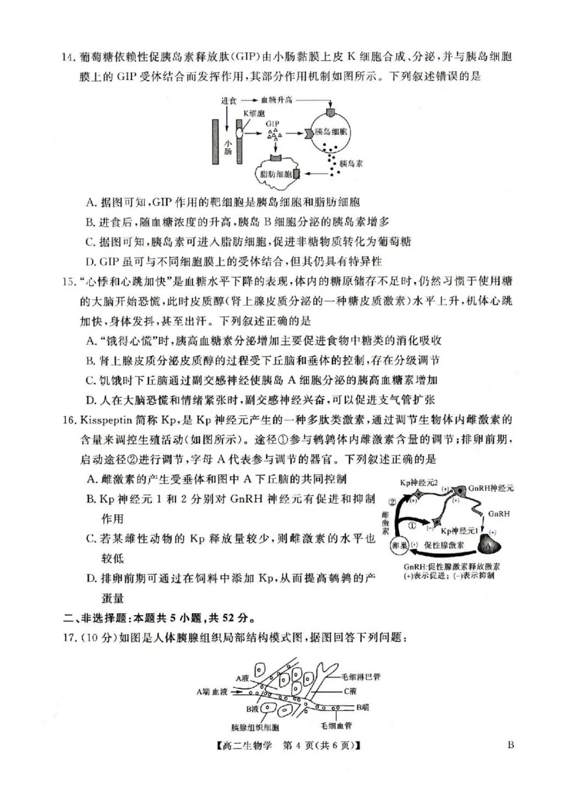 生物试卷-河南高二新未来联考2025-2026学年高二10月中质量检测_2025年10月高二试卷_251019河南省新未来联考2025-2026学年高二10月中质量检测