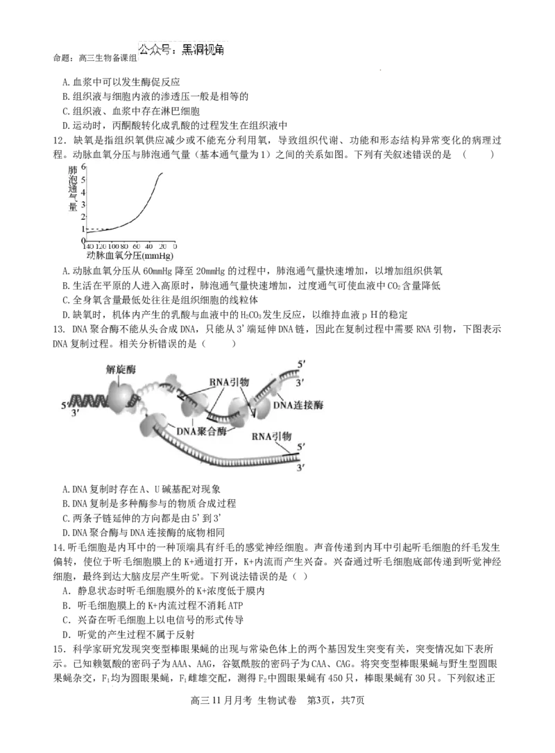 广西南宁市第二中学2024-2025学年高三上学期11月月考生物_2024-2026高三（6-6月题库）_2024年12月试卷_1207广西南宁市第二中学2024-2025学年高三上学期11月月考