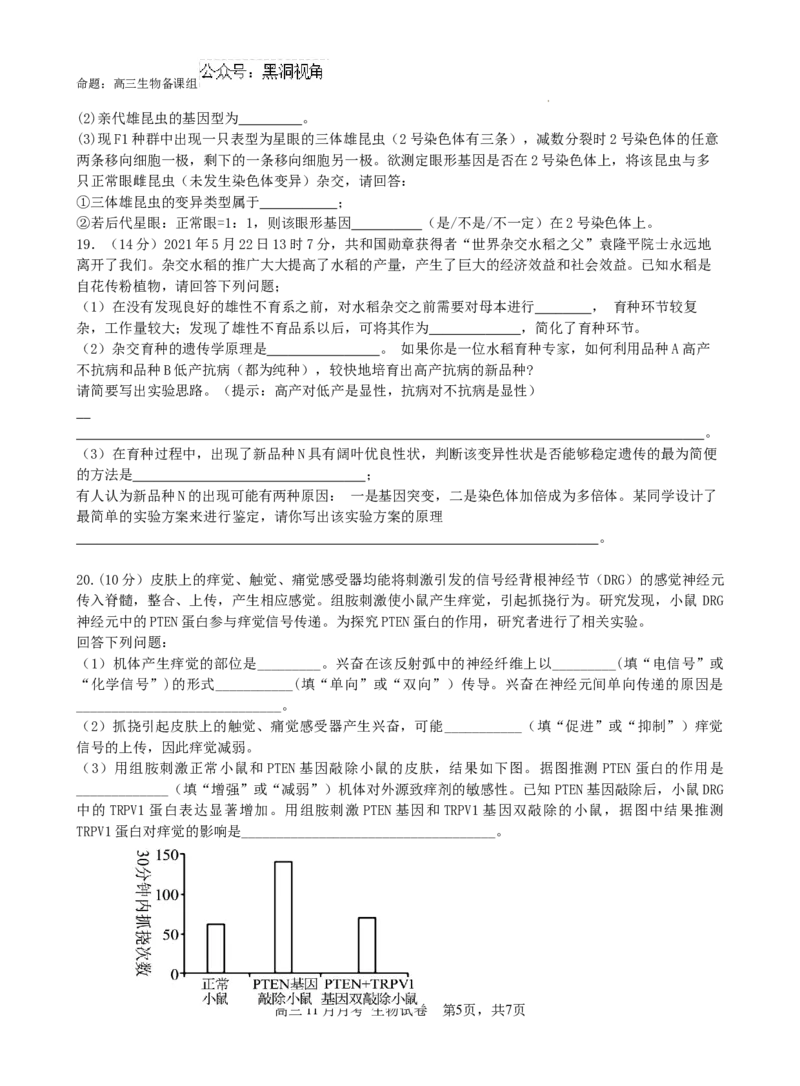广西南宁市第二中学2024-2025学年高三上学期11月月考生物_2024-2026高三（6-6月题库）_2024年12月试卷_1207广西南宁市第二中学2024-2025学年高三上学期11月月考