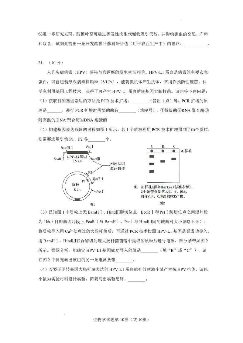 玉溪一中2025一2026学年上学期高三适应性测试（十）生物_2024-2026高三（6-6月题库）_2026年01月高三试卷_0103云南省玉溪一中2025一2026学年上学期高三适应性测试（十）