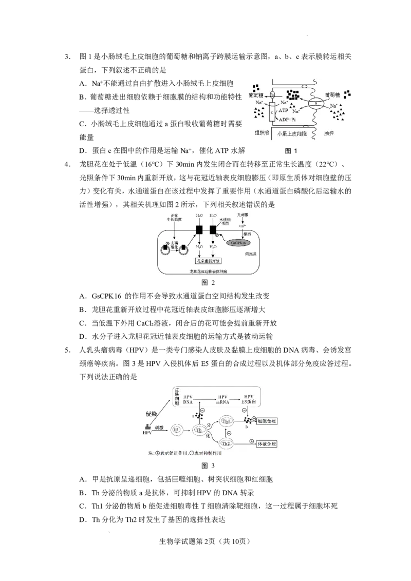 玉溪一中2025一2026学年上学期高三适应性测试（十）生物_2024-2026高三（6-6月题库）_2026年01月高三试卷_0103云南省玉溪一中2025一2026学年上学期高三适应性测试（十）