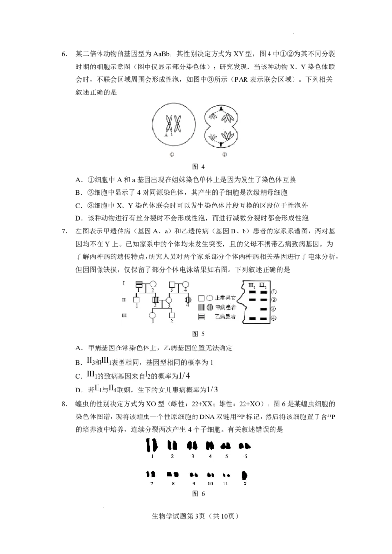 玉溪一中2025一2026学年上学期高三适应性测试（十）生物_2024-2026高三（6-6月题库）_2026年01月高三试卷_0103云南省玉溪一中2025一2026学年上学期高三适应性测试（十）