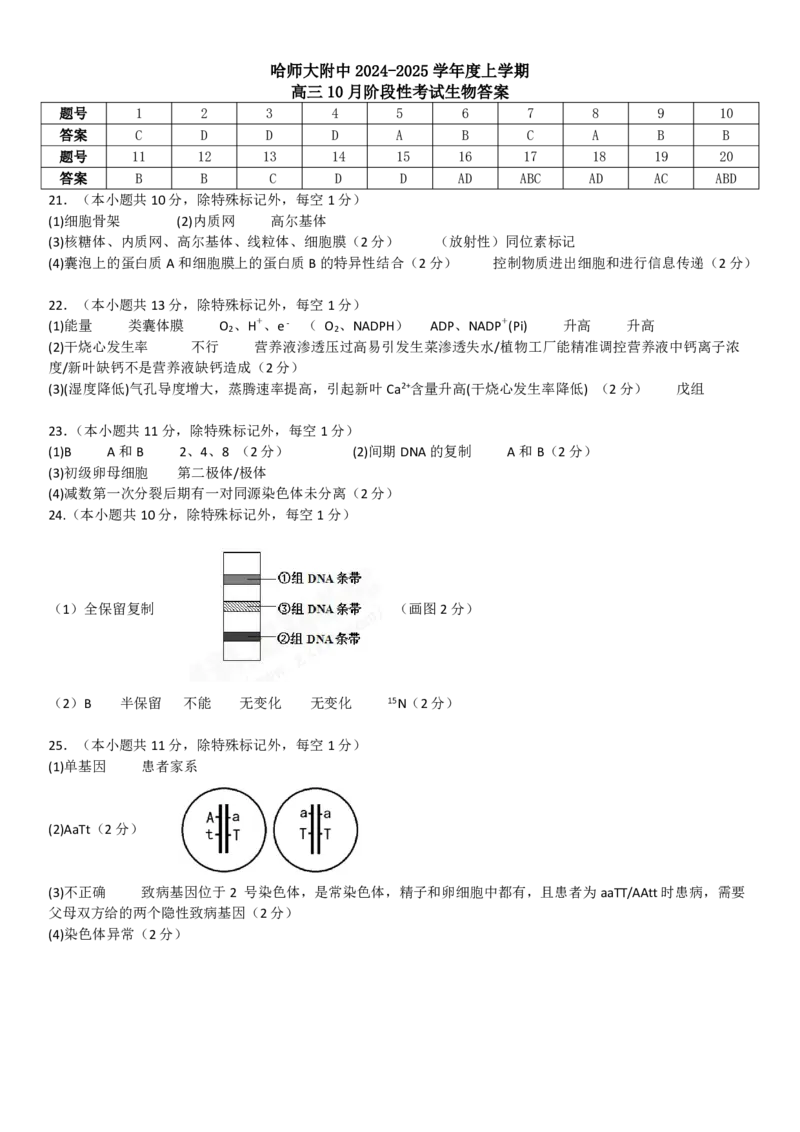 生物参考答案_2024-2025高三（6-6月题库）_2024年10月试卷_1014黑龙江省哈尔滨师范大学附属中学2024-2025学年高三上学期10月月考