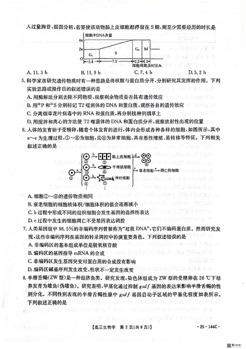 生物_2024-2025高三（6-6月题库）_2024年11月试卷_1114河北省邢台市质检联盟2024-2025学年高三上学期11月期中（金太阳144C）（全科）_河北省邢台市质检联盟2024-2025学年高三上学期11月期中生物