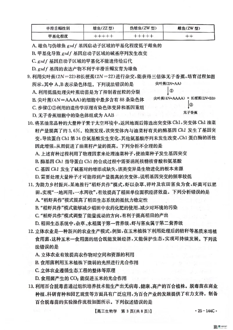 生物_2024-2025高三（6-6月题库）_2024年11月试卷_1114河北省邢台市质检联盟2024-2025学年高三上学期11月期中（金太阳144C）（全科）_河北省邢台市质检联盟2024-2025学年高三上学期11月期中生物