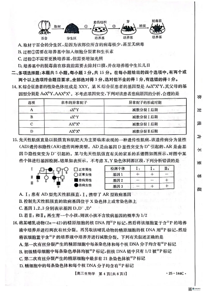 生物_2024-2025高三（6-6月题库）_2024年11月试卷_1114河北省邢台市质检联盟2024-2025学年高三上学期11月期中（金太阳144C）（全科）_河北省邢台市质检联盟2024-2025学年高三上学期11月期中生物
