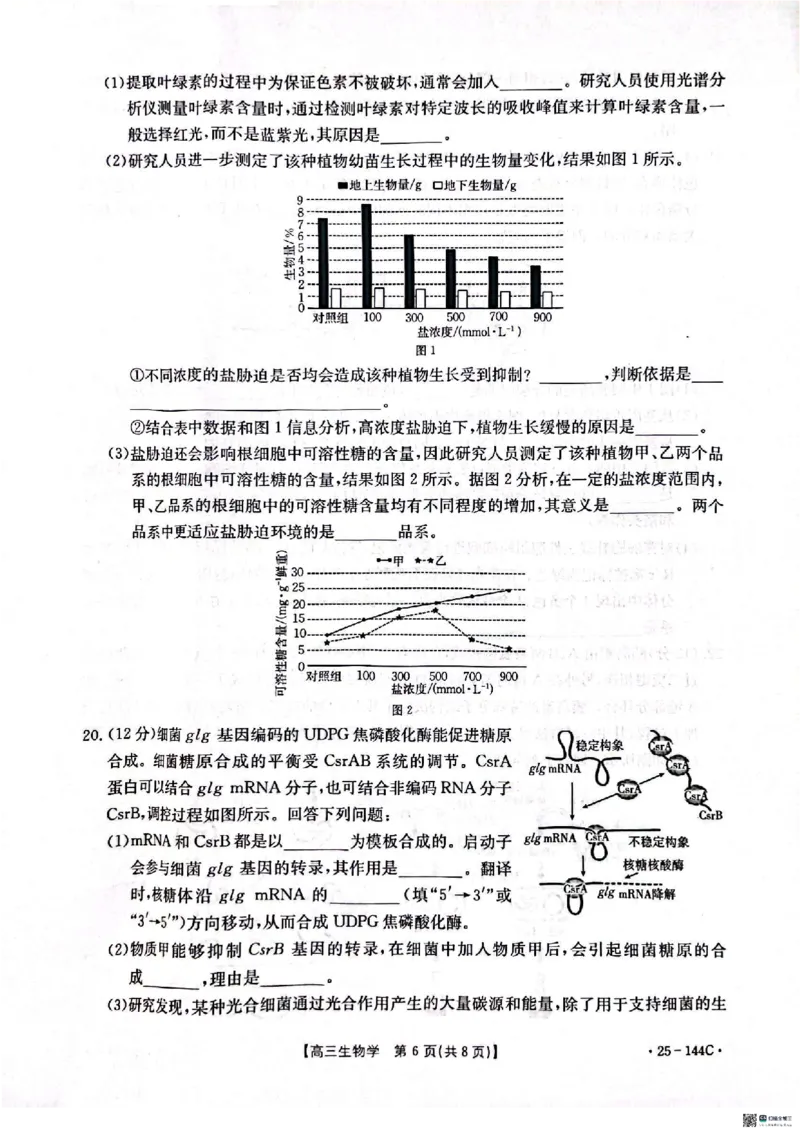 生物_2024-2025高三（6-6月题库）_2024年11月试卷_1114河北省邢台市质检联盟2024-2025学年高三上学期11月期中（金太阳144C）（全科）_河北省邢台市质检联盟2024-2025学年高三上学期11月期中生物