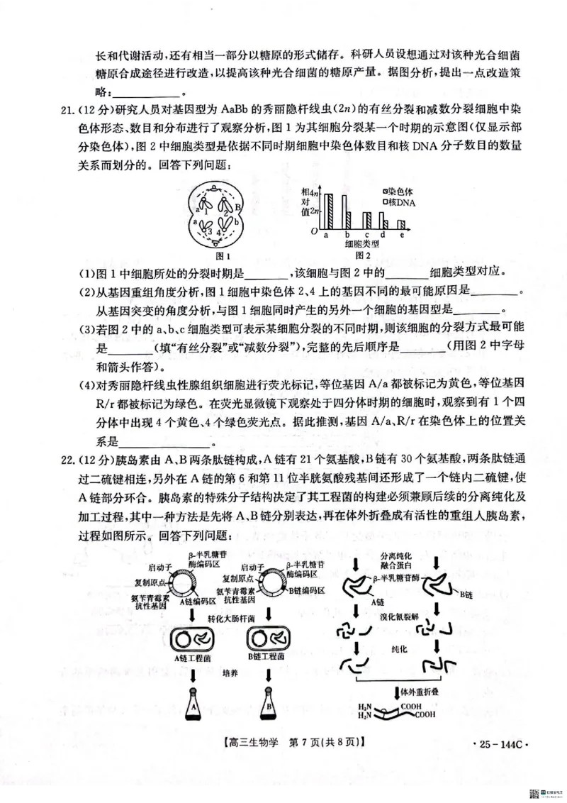 生物_2024-2025高三（6-6月题库）_2024年11月试卷_1114河北省邢台市质检联盟2024-2025学年高三上学期11月期中（金太阳144C）（全科）_河北省邢台市质检联盟2024-2025学年高三上学期11月期中生物