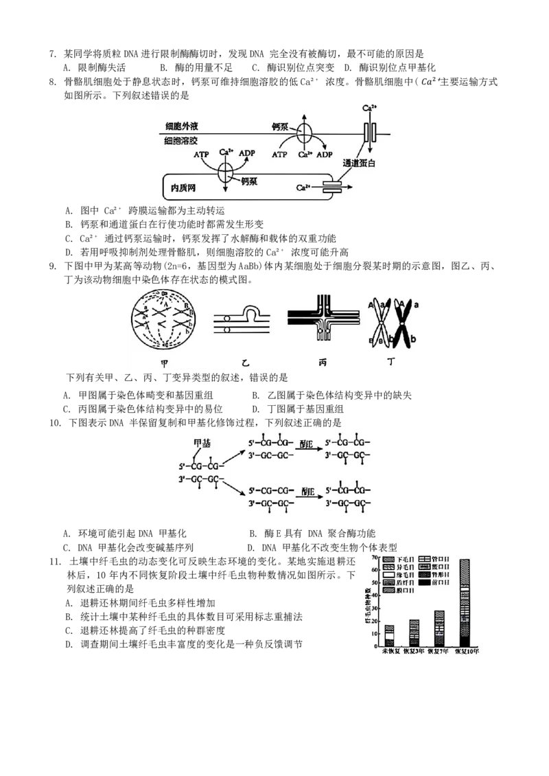 生物+答案_2024-2025高三（6-6月题库）_2024年11月试卷_1124浙江省9+1高中联盟2025届高三上学期11月期中考试（全科）