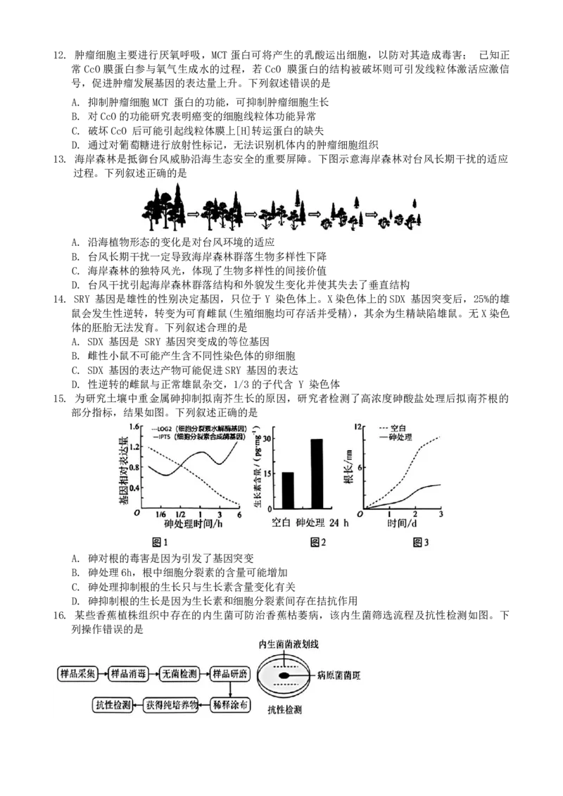 生物+答案_2024-2025高三（6-6月题库）_2024年11月试卷_1124浙江省9+1高中联盟2025届高三上学期11月期中考试（全科）