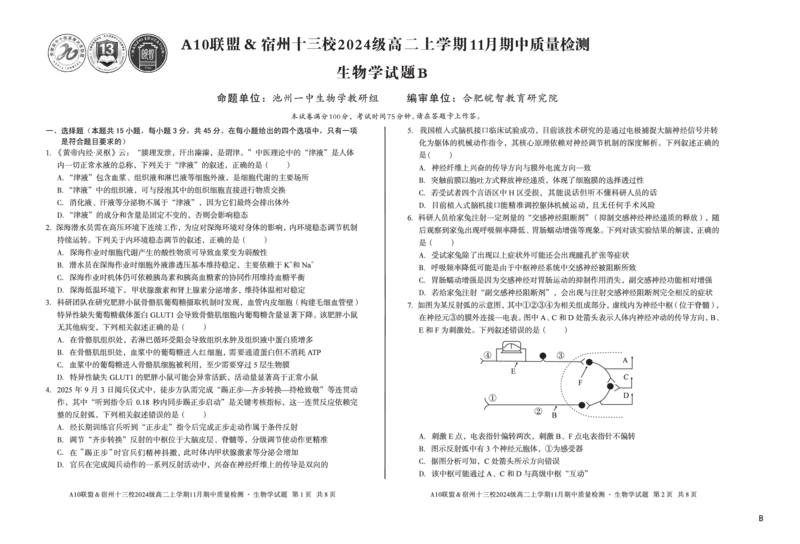 生物（B卷）A10联盟＆宿州十三校2024级高二上学期11月期中质量检测生物学b_2025年11月高二试卷_251124安徽省A10联盟＆宿州十三校2024级高二上学期11月期中质量检测（全）